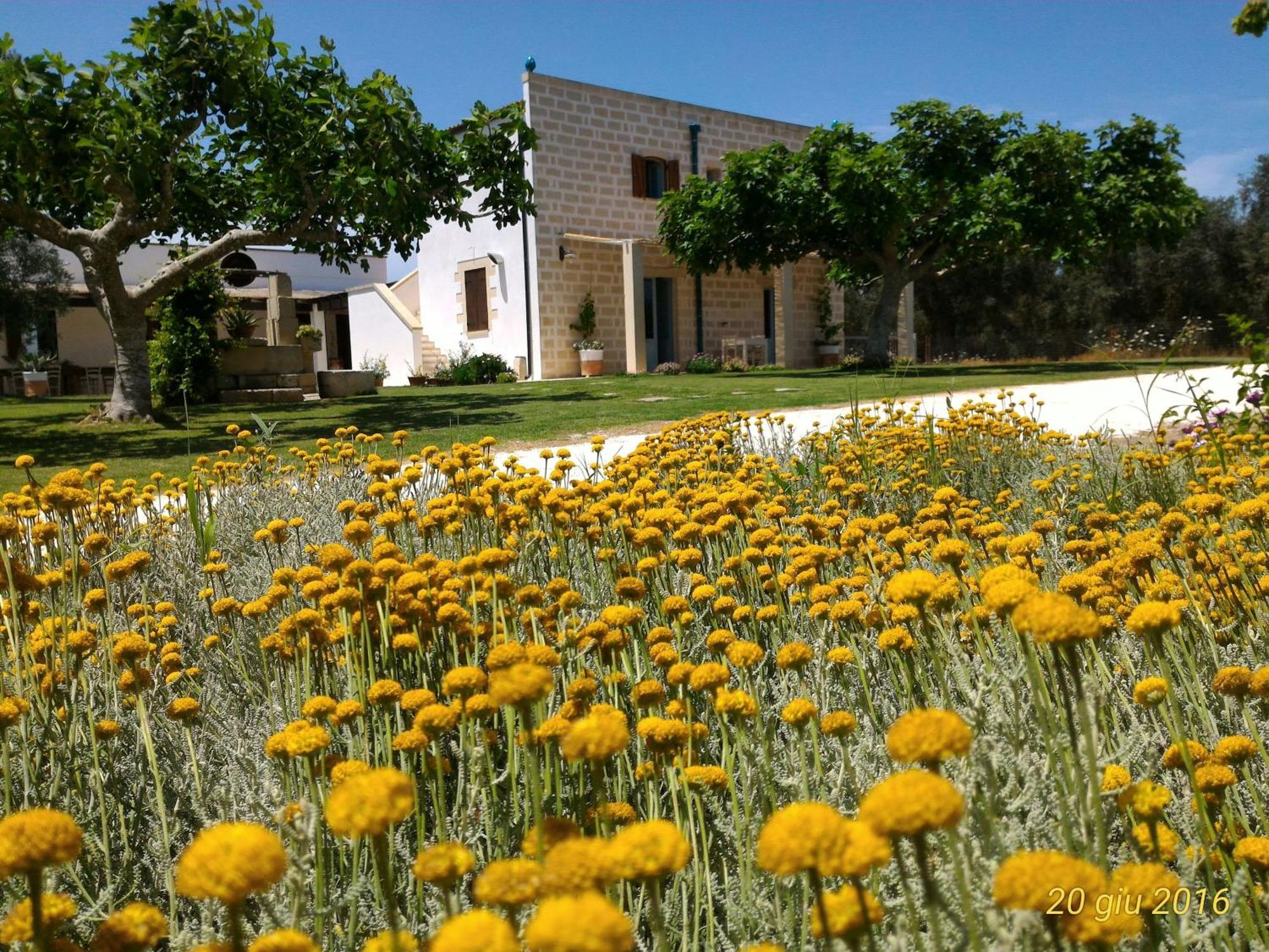 אוג'אנו לה קייזה Masseria Vignenove מראה חיצוני תמונה