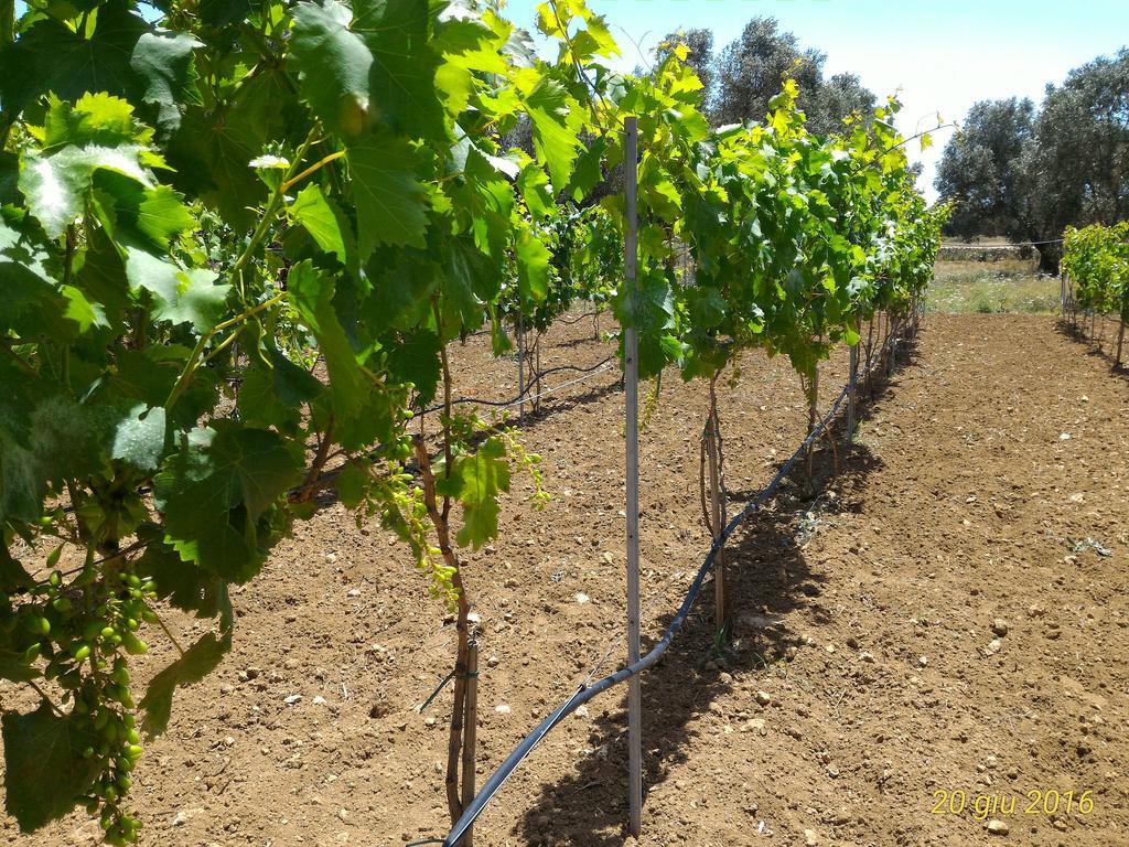 אוג'אנו לה קייזה Masseria Vignenove מראה חיצוני תמונה