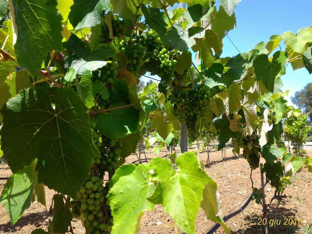 אוג'אנו לה קייזה Masseria Vignenove מראה חיצוני תמונה
