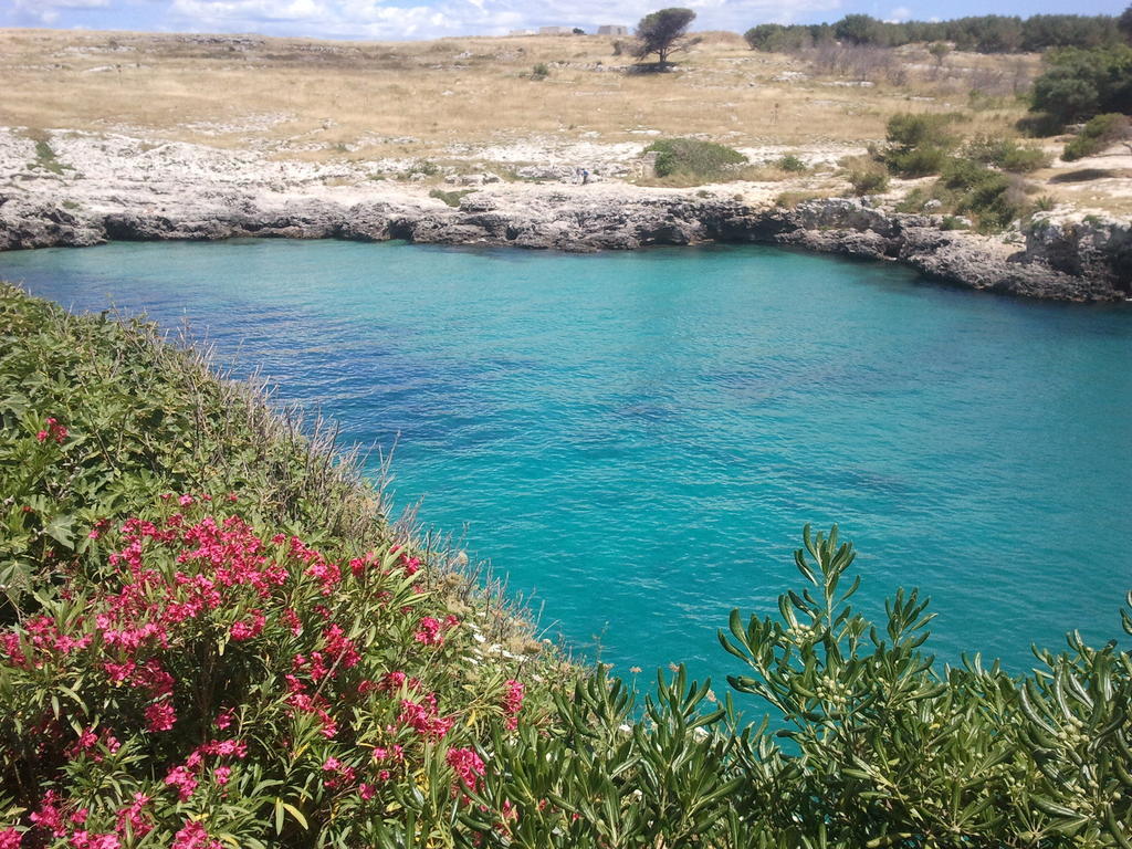 אוג'אנו לה קייזה Masseria Vignenove מראה חיצוני תמונה